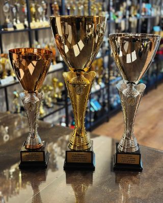 Aj hasiči👩🏻‍🚒 si vedia zahrať ❄️🏒 🏆🏆🏆